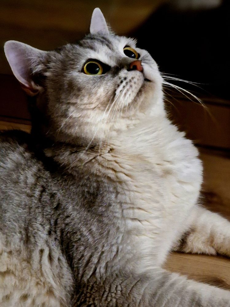 Фотография автора Maryna Pytliak