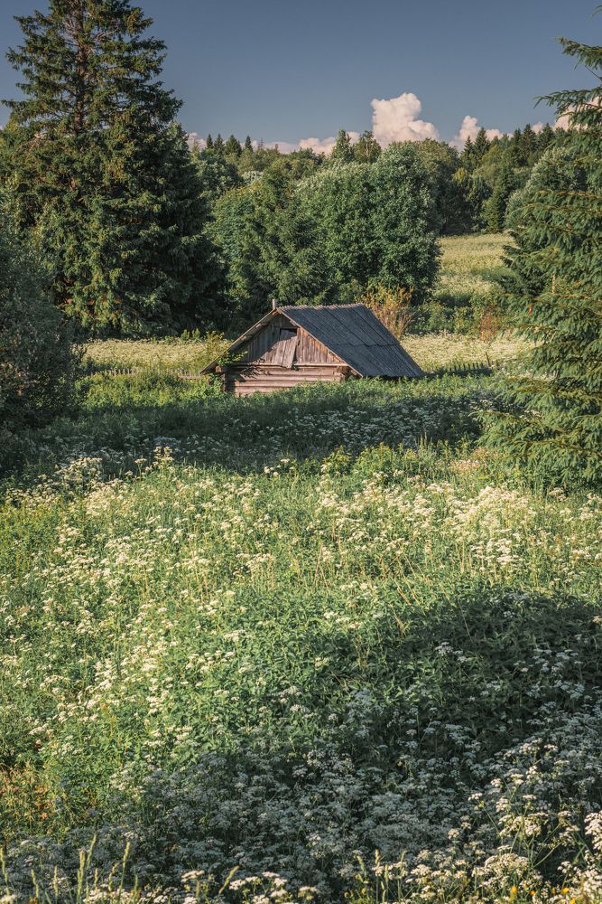 Фотография автора Сергей Котов
