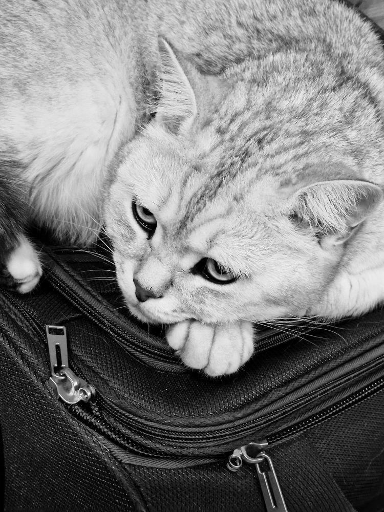 Фотография автора Maryna Pytliak