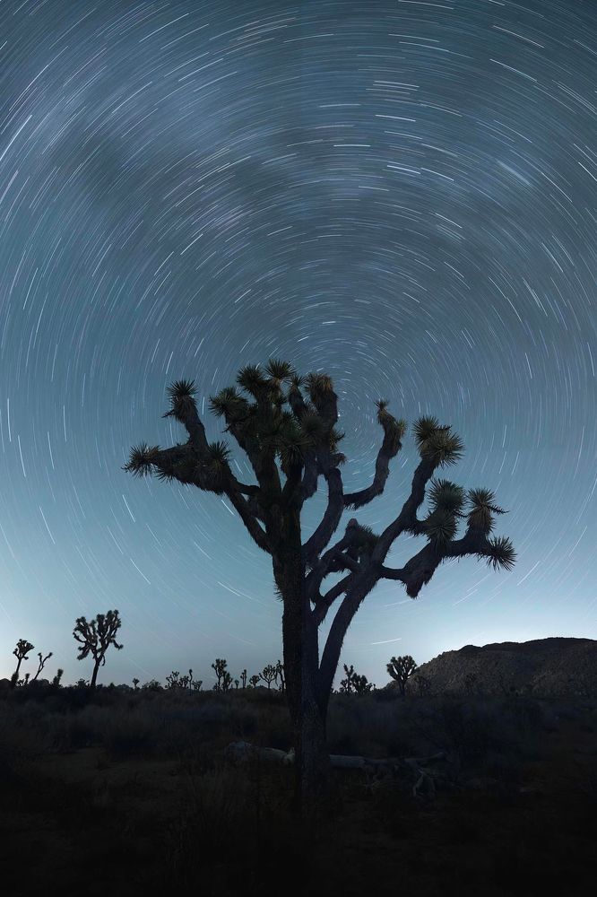 Photograph by Otto Acosta