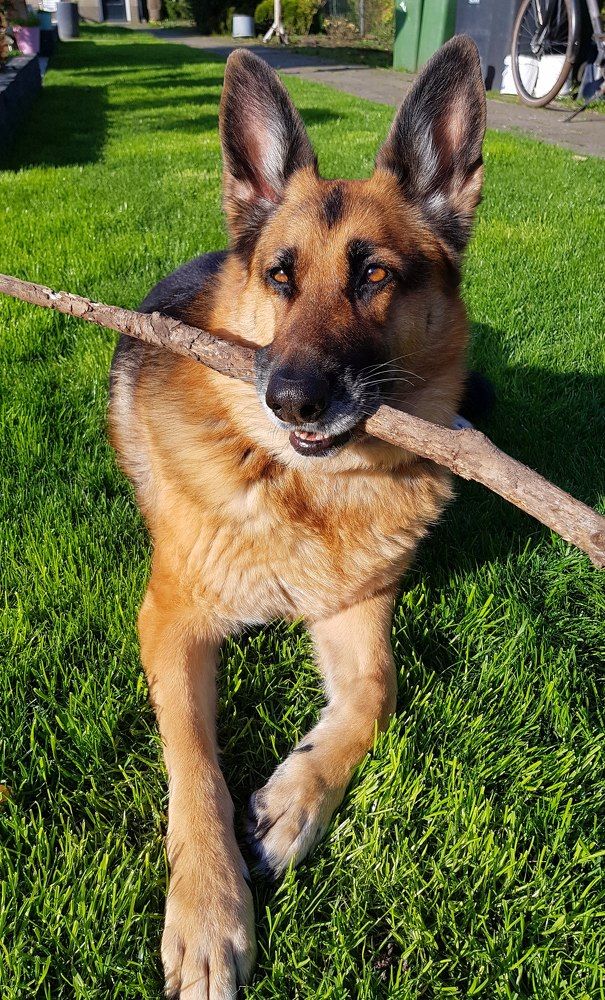 Photograph by Iris de Vos