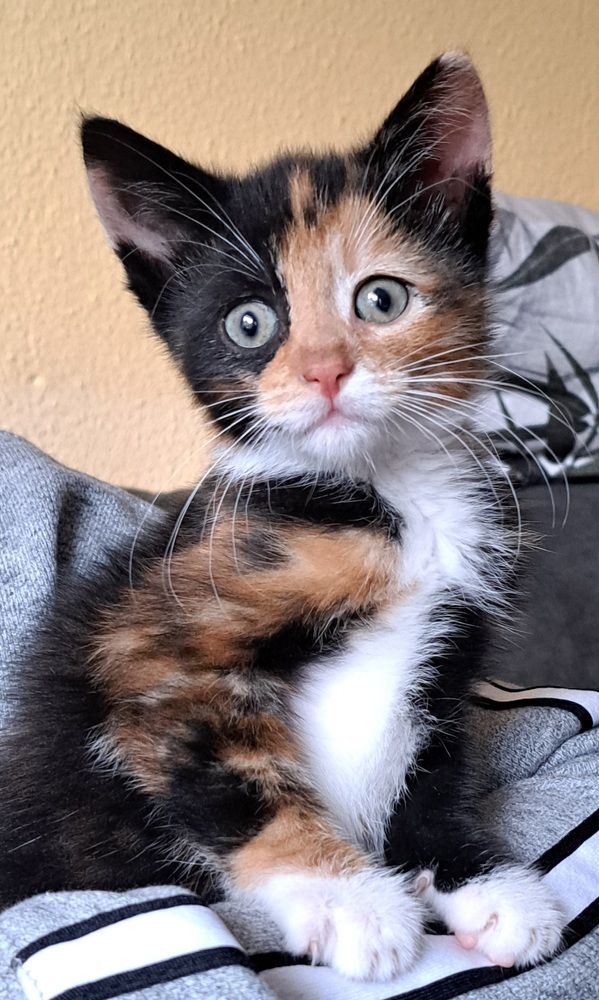 Photograph by Iris de Vos