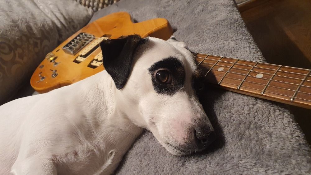 Photograph by Andrei Baburin