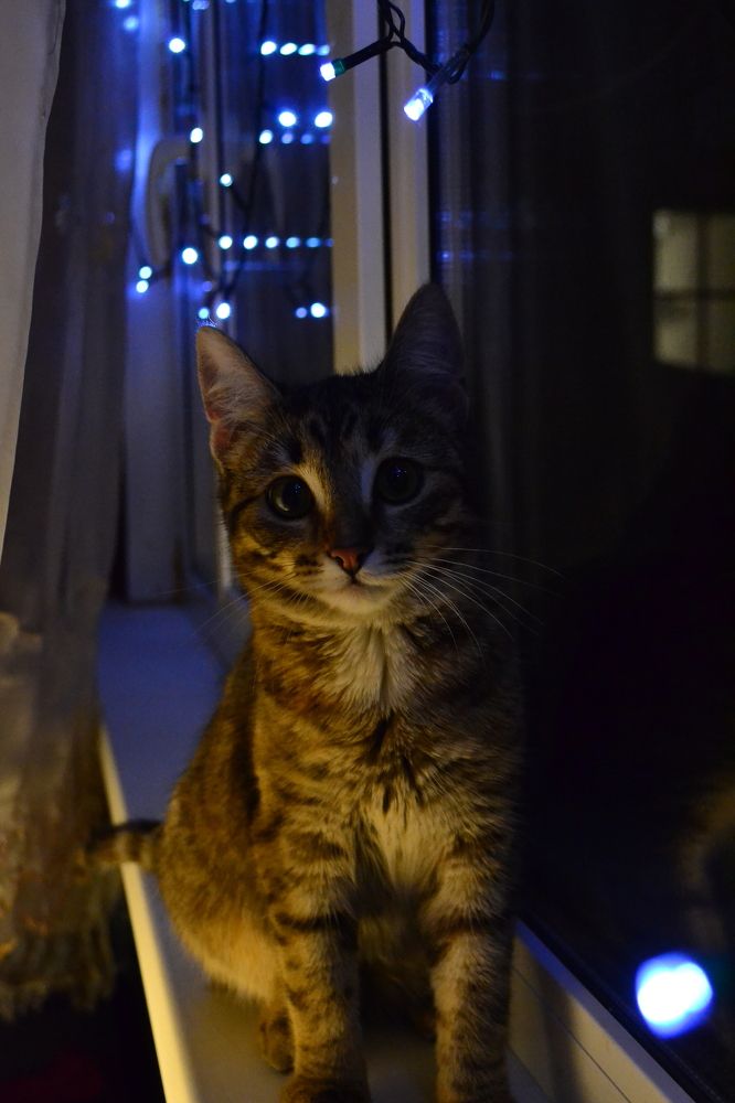 Photograph by Жанна Цветкова