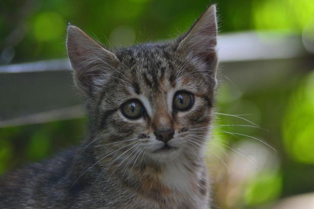 Photograph by Жанна Цветкова