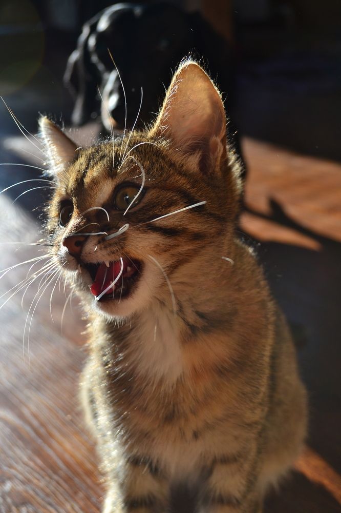 Photograph by Жанна Цветкова