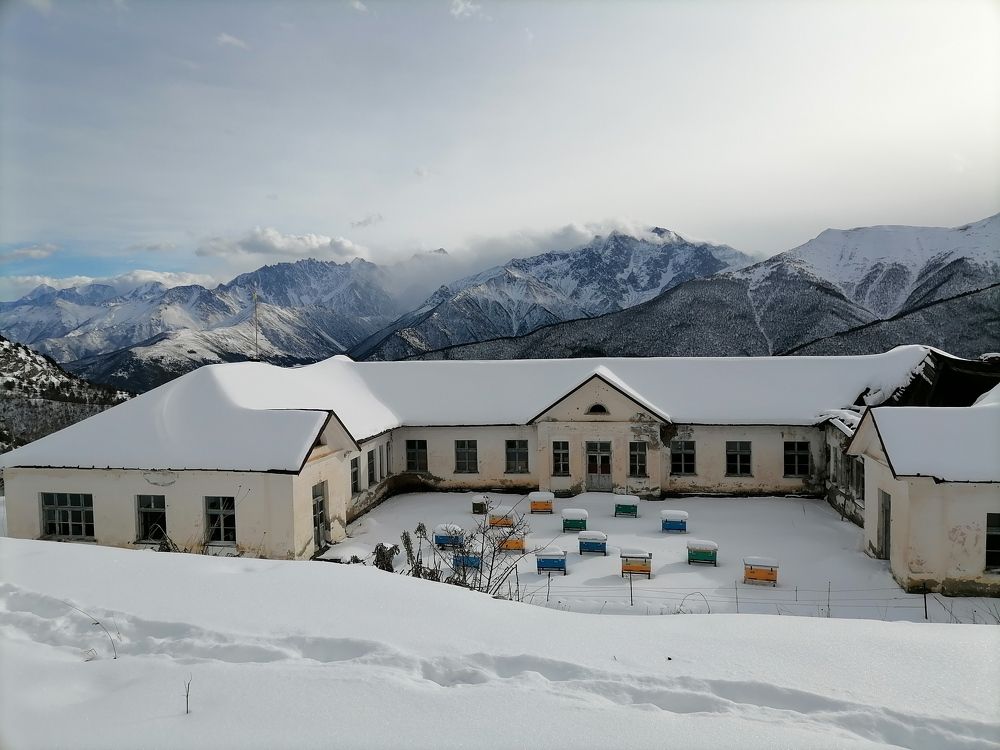 Фотография автора Оксана Белозерская