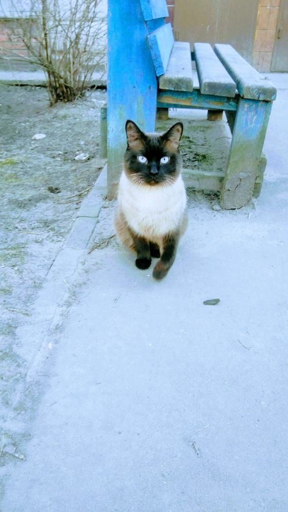 Photograph by Ирина Корнева