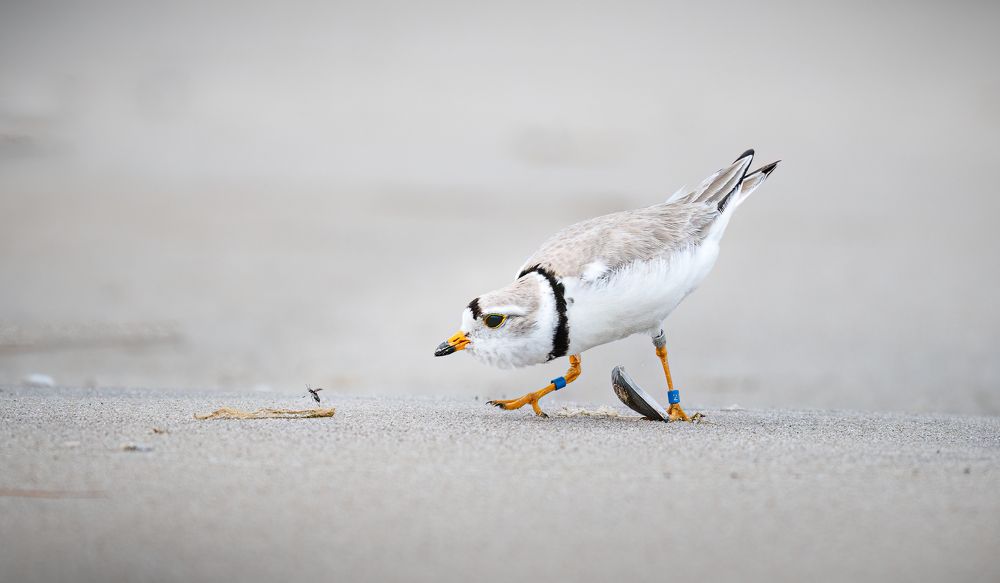 Фотография автора Liyan Dai