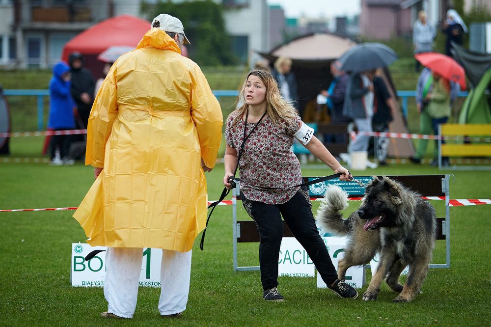 Photograph by Зайцев Игорь