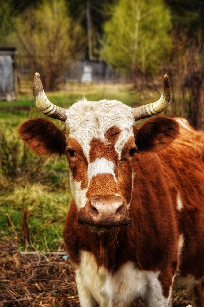 Photograph by Митюшкова Алёна