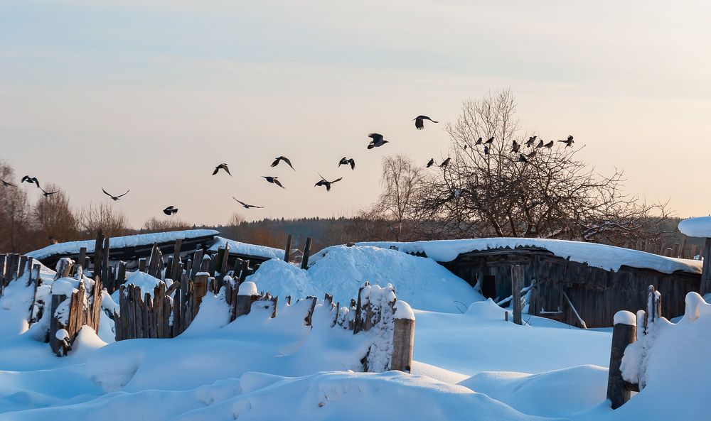 Фотография автора Олег Анатольевич Загорулько
