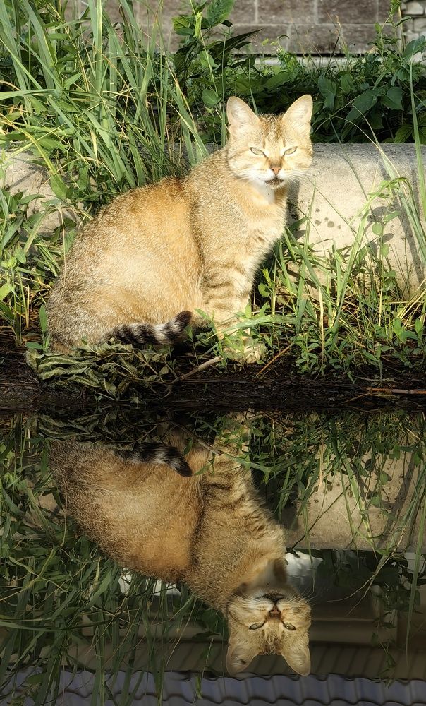 Photograph by Maiya Bulatova