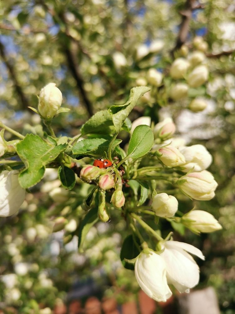 Photograph by Любовь Лунина