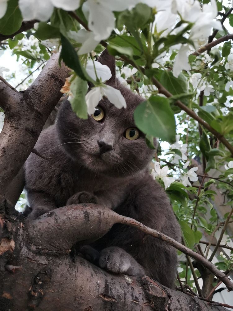 Photograph by Любовь Лунина