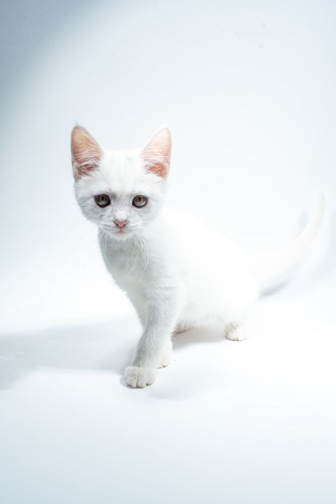 Photograph by Щебланов Виктор