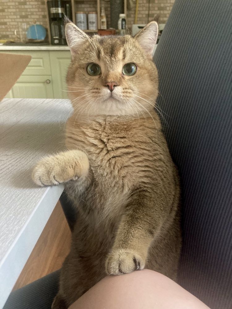 Photograph by Александр Авдеев