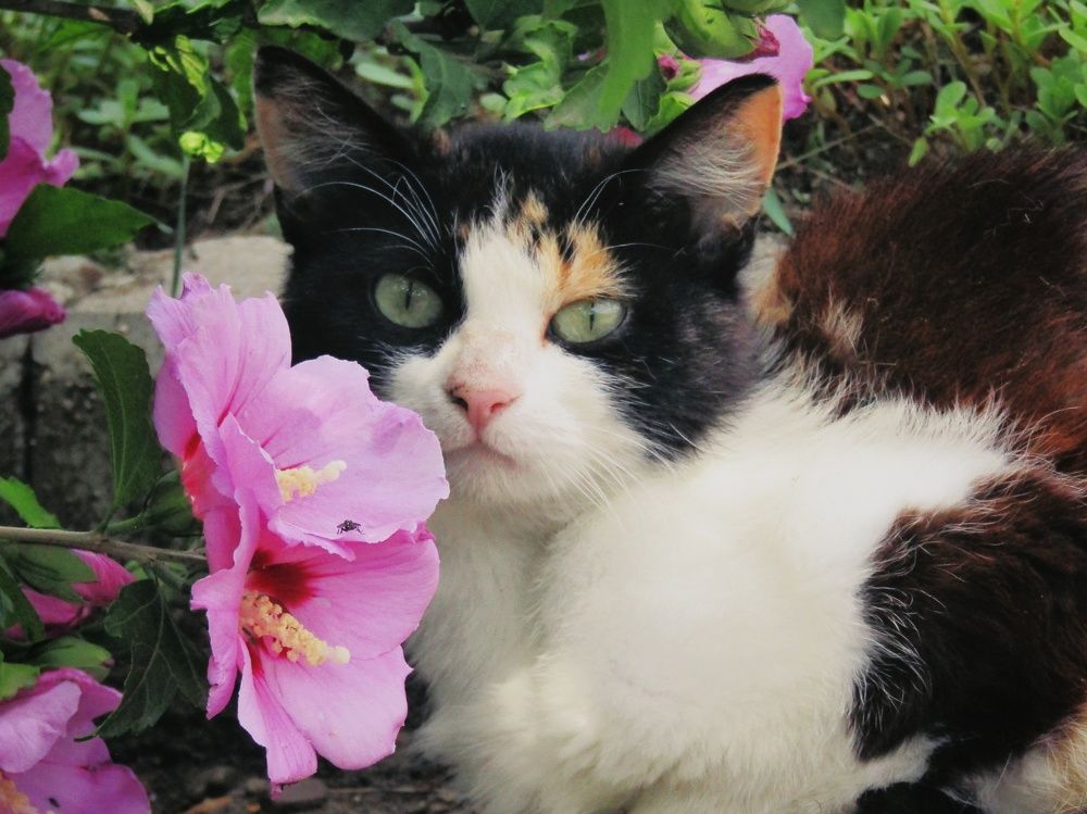 Photograph by Раиса Николаева