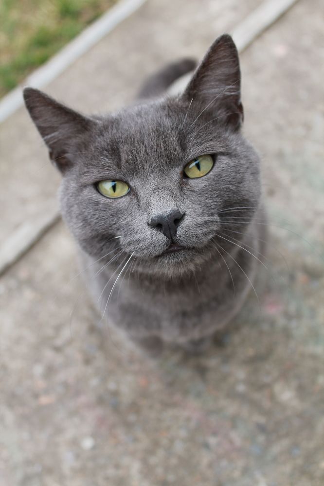 Photograph by Любовь Лунина