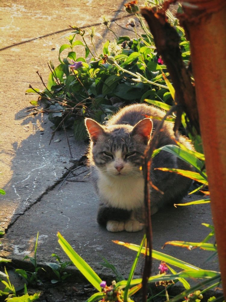 Photograph by Раиса Николаева