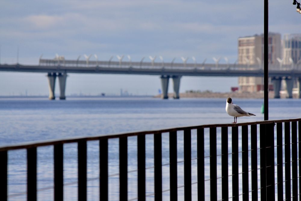 Photograph by Михаил Некрасов