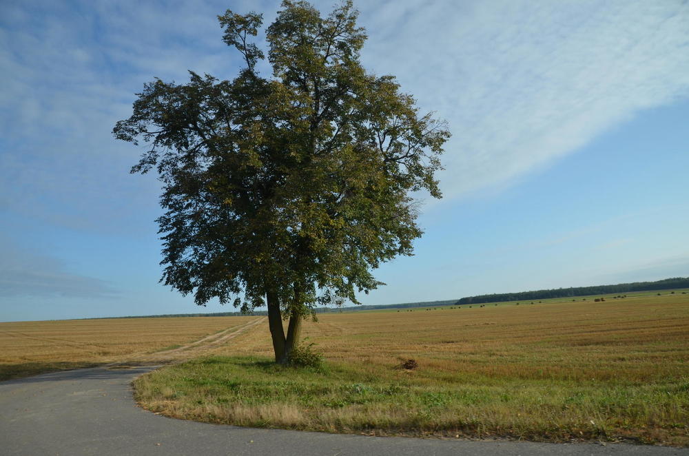 Photograph by Ирина Алексеевна Дудаль-Вологодская