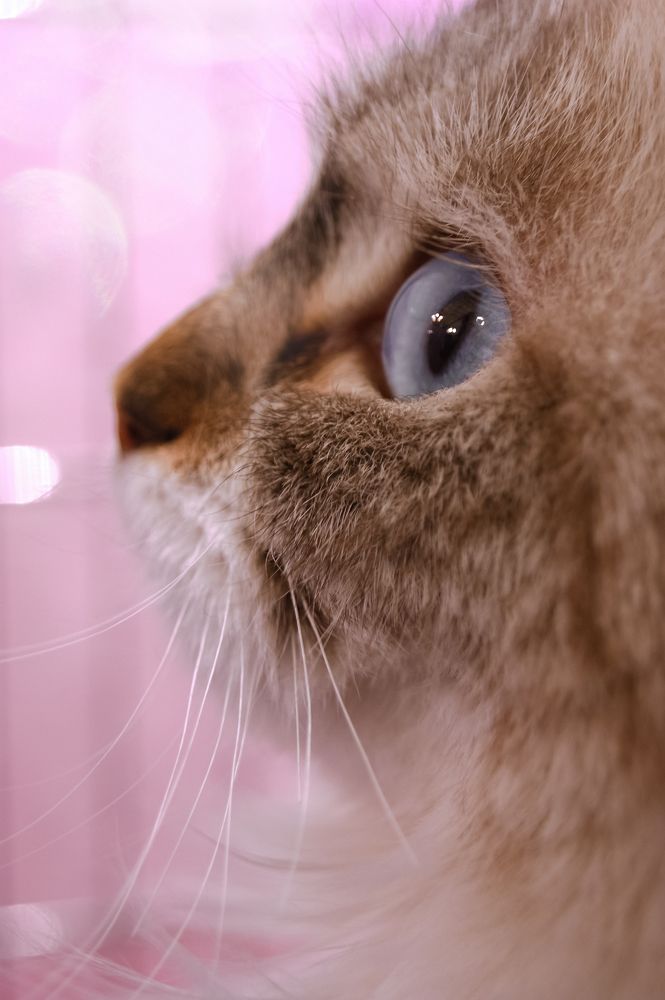 Photograph by Мария Кравченко