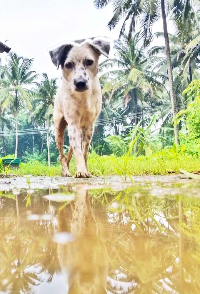 Photograph by Varsha Gatti