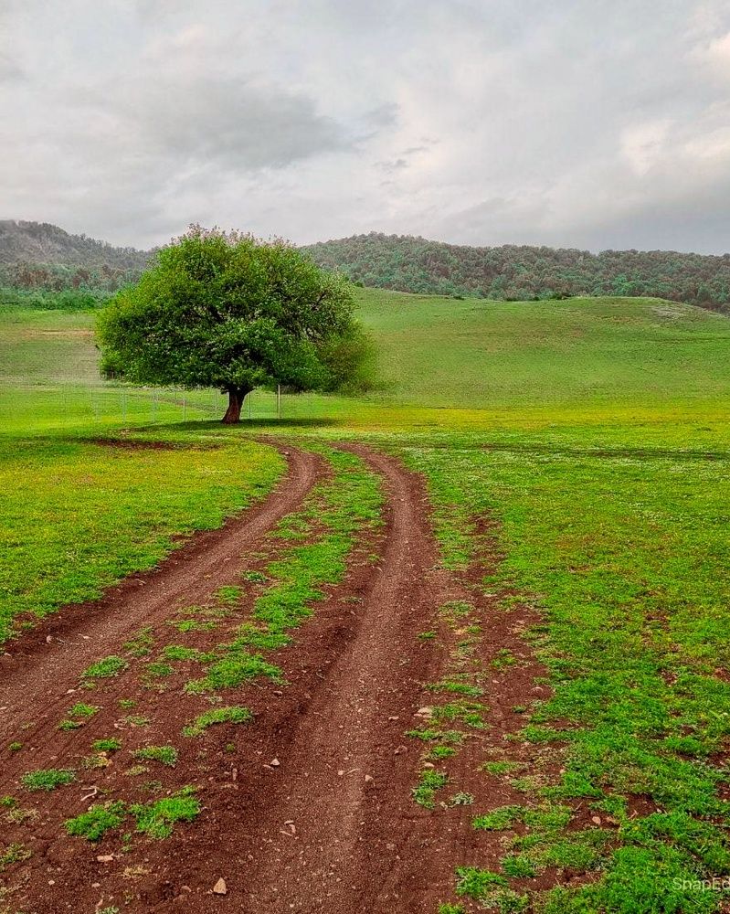 Photograph by naser rezaeian