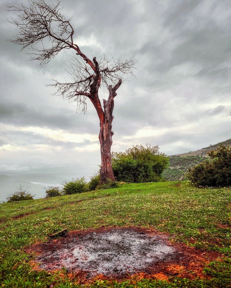 Photograph by naser rezaeian