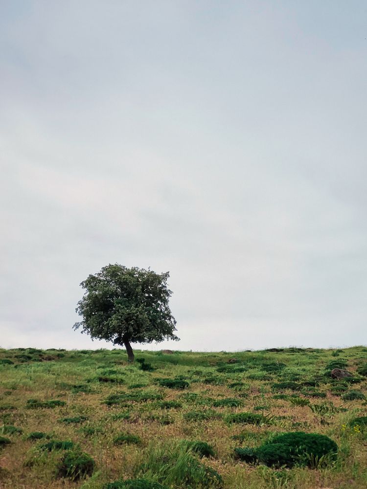 Photograph by naser rezaeian