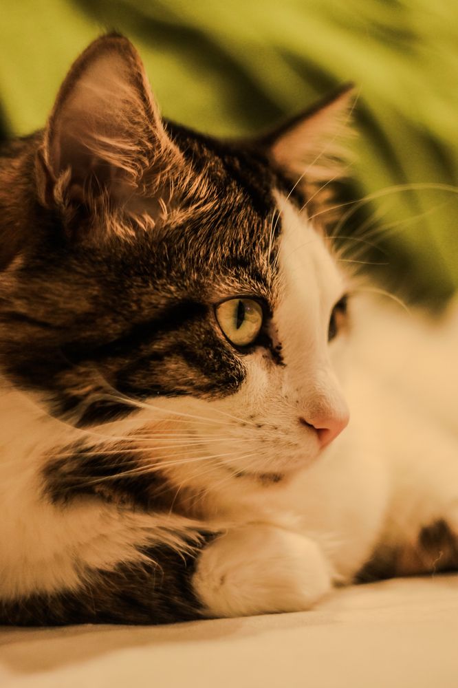 Photograph by Елена Квасова