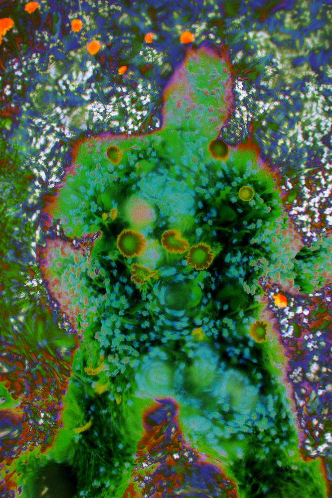 Природа в нас