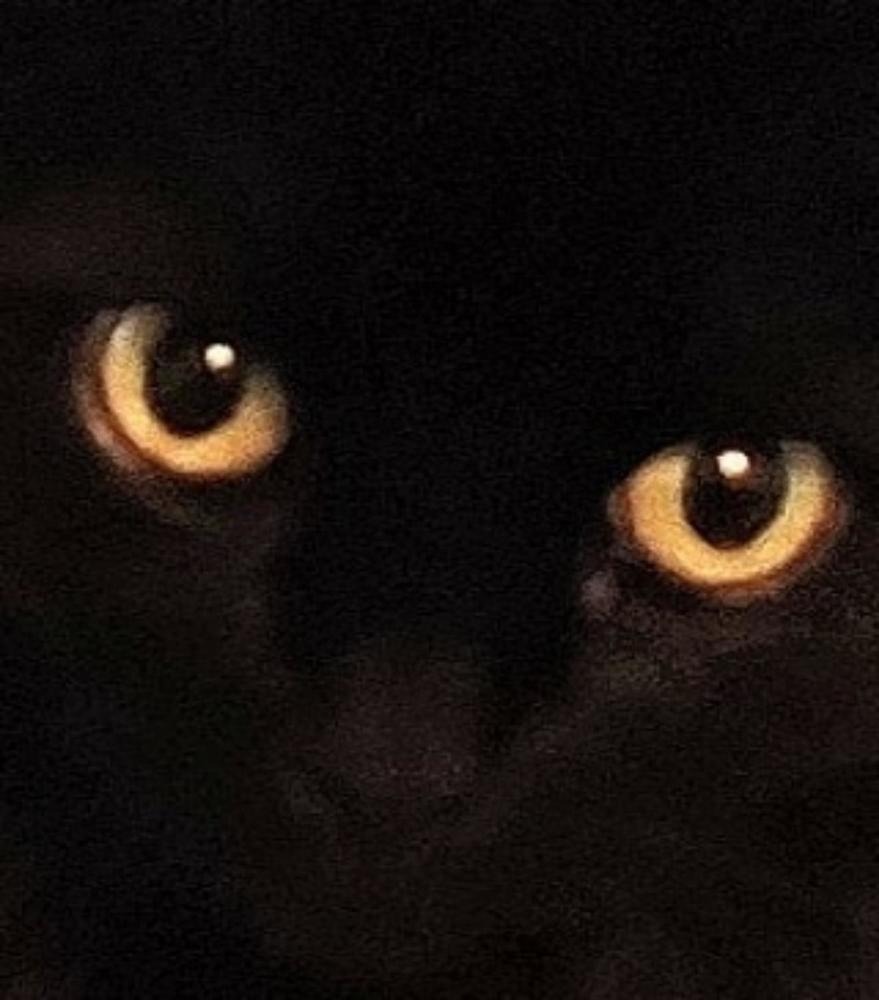 Photograph by Анна Андреевна