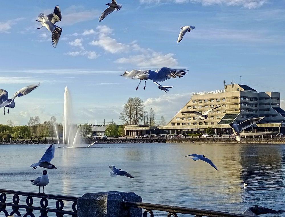 Photograph by Sergey Kurkov-Tarkovsky