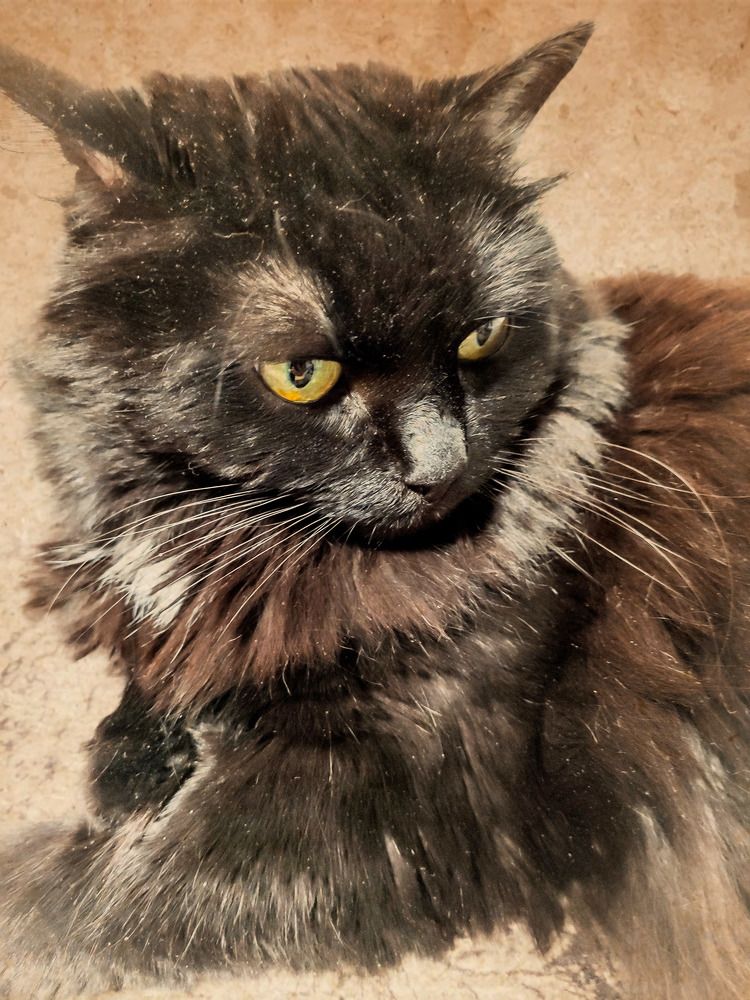 Photograph by Анна Андреевна