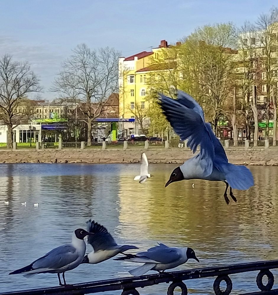 Photograph by Sergey Kurkov-Tarkovsky