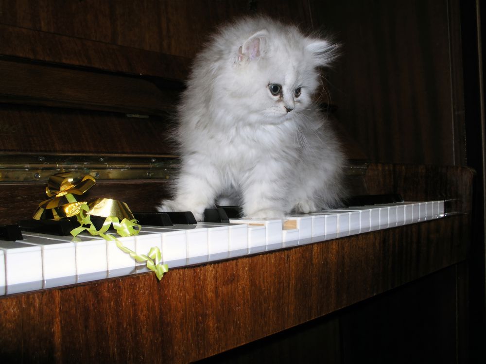 Photograph by Добродий Михаил