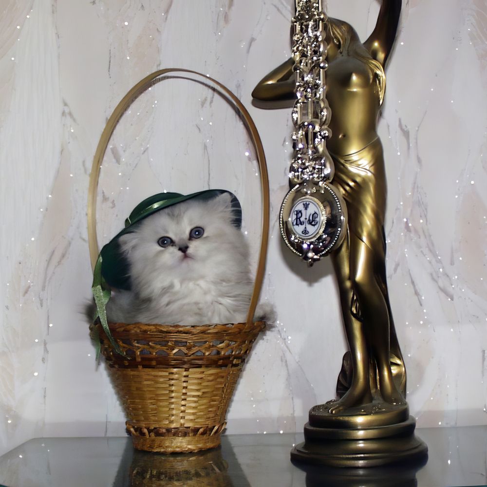 Photograph by Добродий Михаил