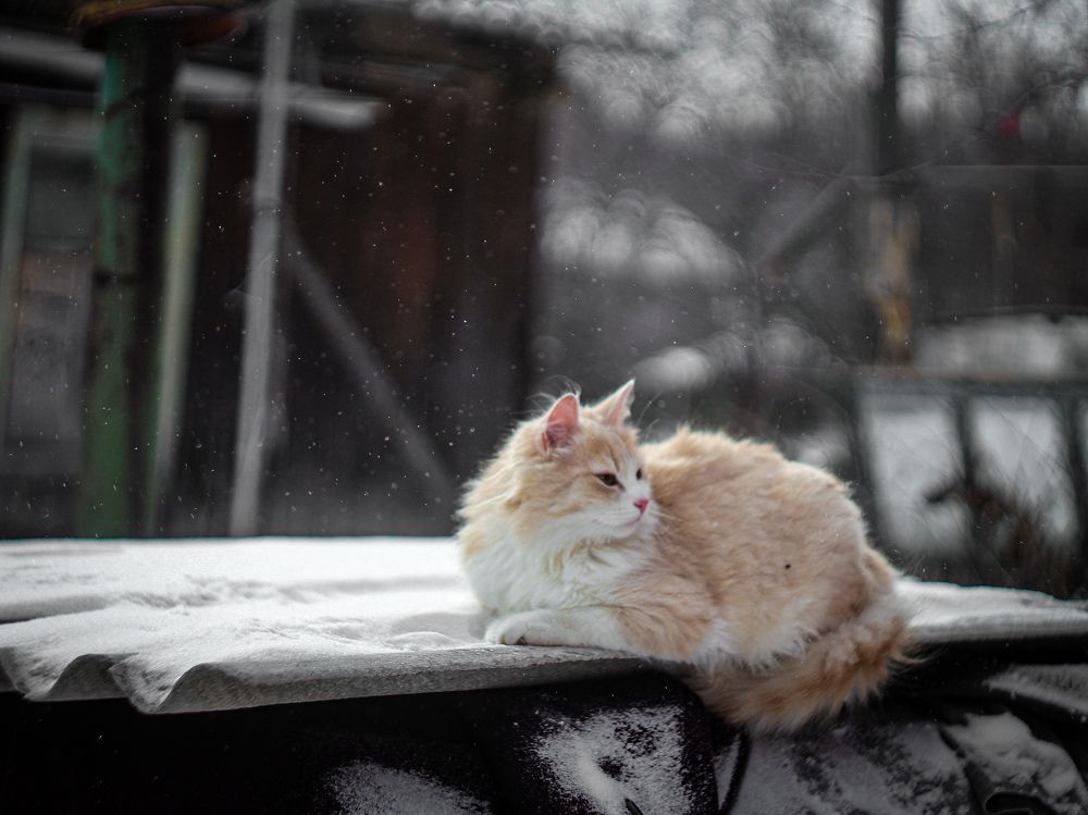 Photograph by Дмитрий Рзянин