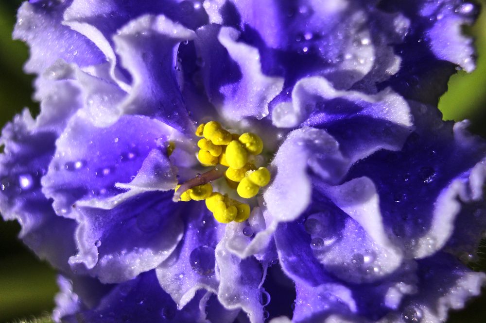 Фотография автора Наталия Мащенко