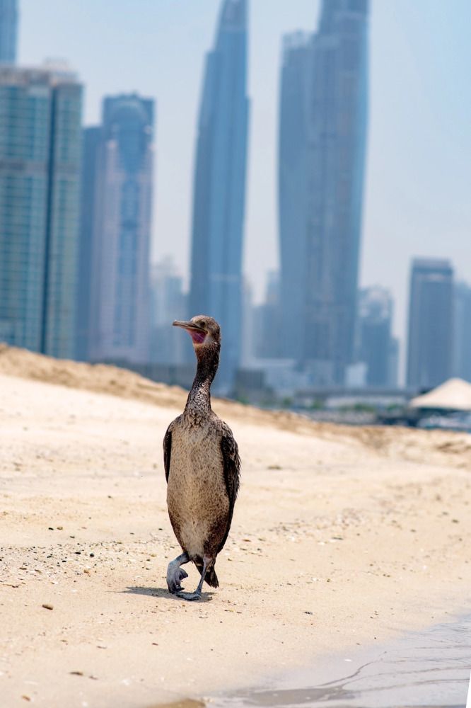 Photograph by Демьян Лопатов