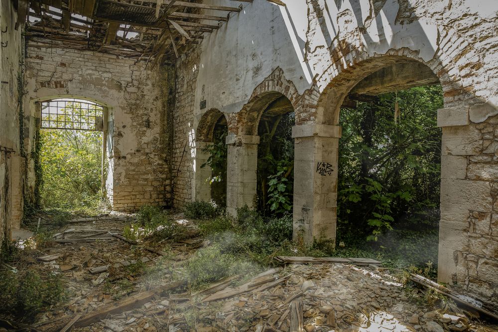 Photograph by Sergey Firsov