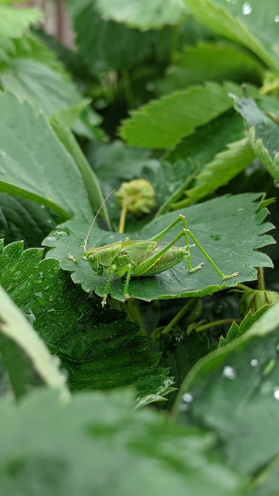 Фотография автора Васильева Ирина