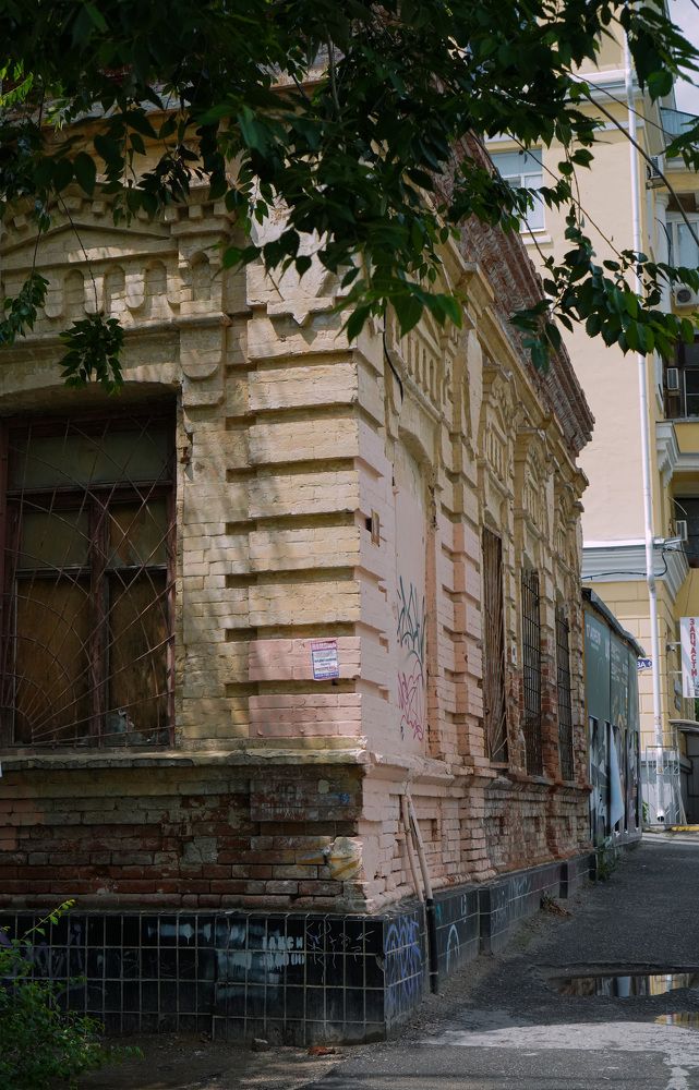 Photograph by Полина Галянина