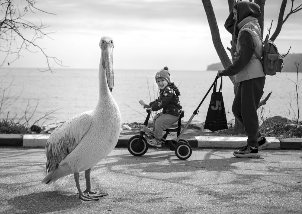 Photograph by Явор Янев