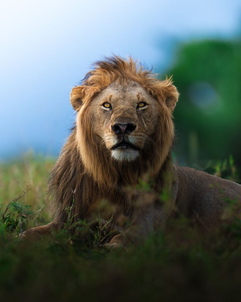 Photograph by Ahmed Sobhi