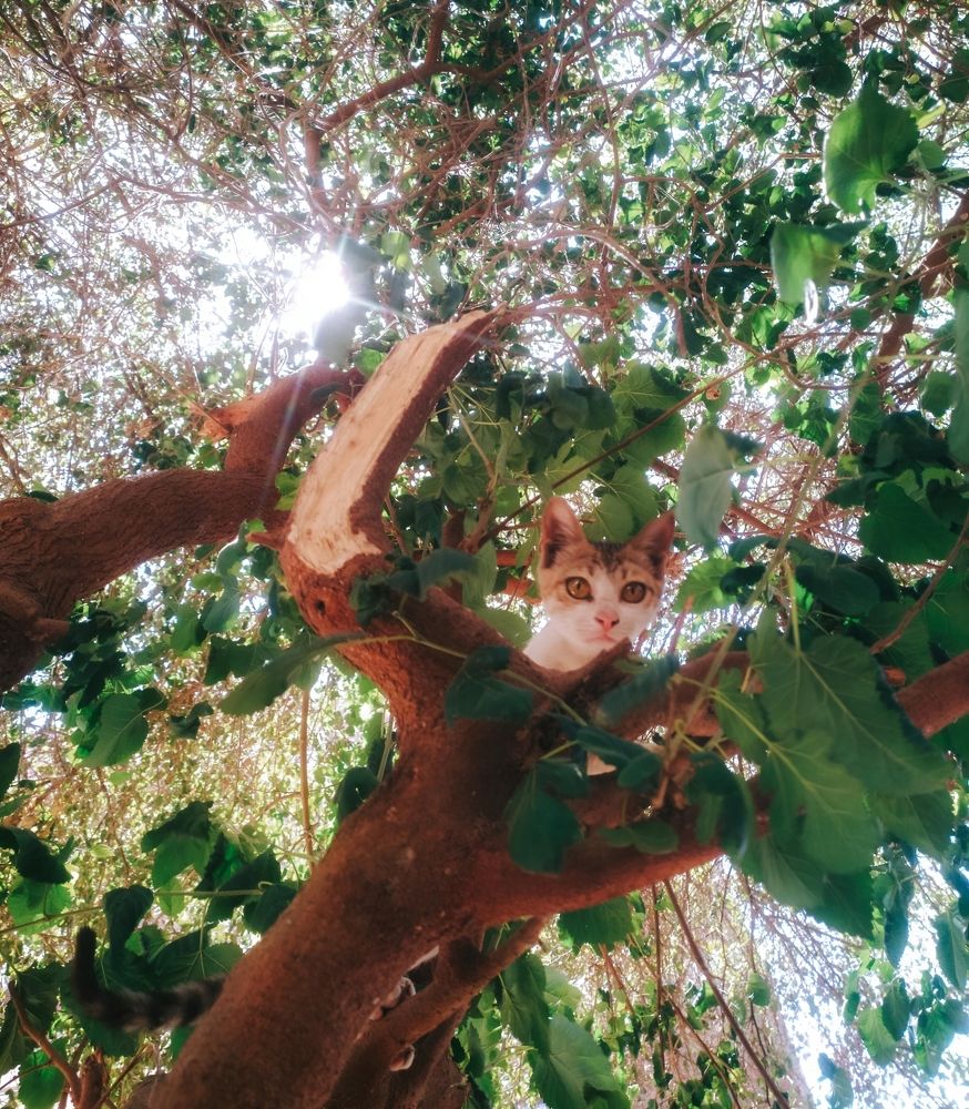 Photograph by Adel Sami