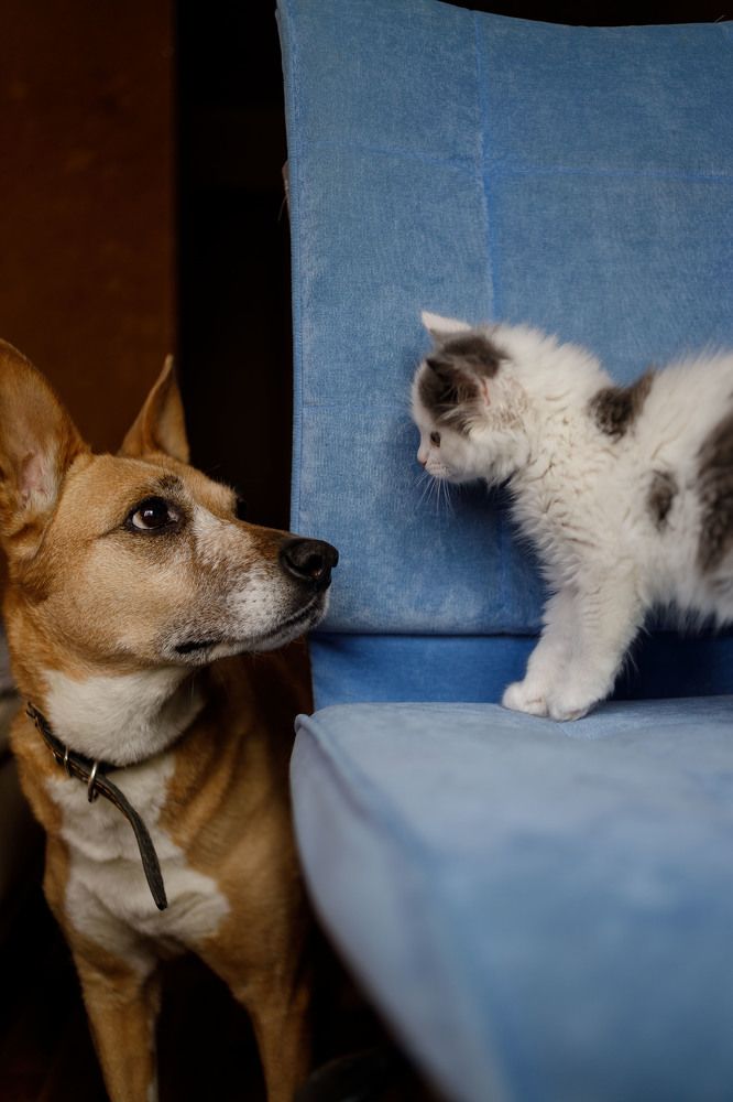 Photograph by Эльвира Грызлова