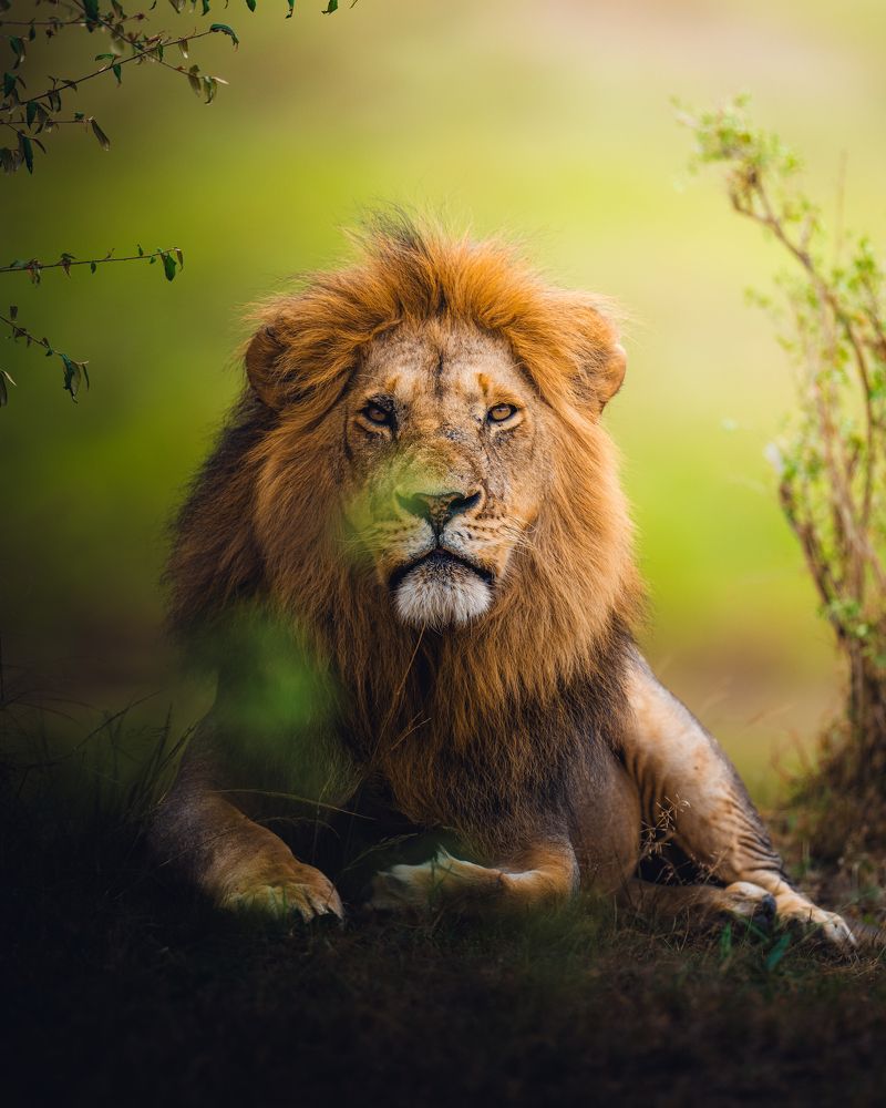 Photograph by Ahmed Sobhi